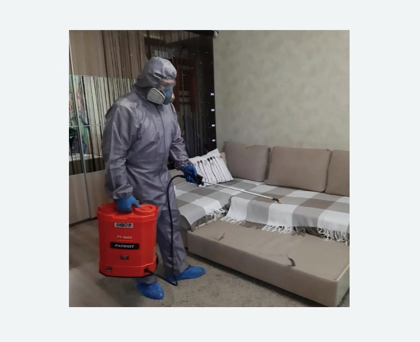 Уничтожение БЛОХ в Пскове | Обработка квартиры. Цена от 900 р.